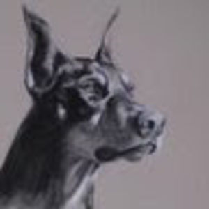 Meet your Posher, Gregory